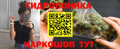шишки Новокубанск