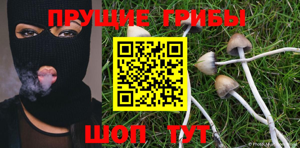 Галлюциногенные грибы Psilocybe  Вход с VPN  Тихвин 